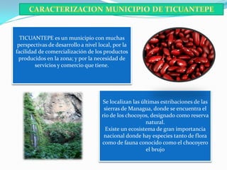 TICUANTEPE es un municipio con muchas
 perspectivas de desarrollo a nivel local, por la
facilidad de comercialización de los productos
 producidos en la zona; y por la necesidad de
        servicios y comercio que tiene.




                                      Se localizan las últimas estribaciones de las
                                      sierras de Managua, donde se encuentra el
                                     río de los chocoyos, designado como reserva
                                                         natural.
                                       Existe un ecosistema de gran importancia
                                      nacional donde hay especies tanto de flora
                                     como de fauna conocido como el chocoyero
                                                         el brujo
 