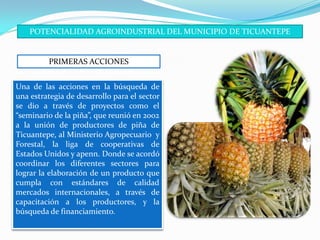 POTENCIALIDAD AGROINDUSTRIAL DEL MUNICIPIO DE TICUANTEPE


         PRIMERAS ACCIONES


Una de las acciones en la búsqueda de
una estrategia de desarrollo para el sector
se dio a través de proyectos como el
“seminario de la piña”, que reunió en 2002
a la unión de productores de piña de
Ticuantepe, al Ministerio Agropecuario y
Forestal, la liga de cooperativas de
Estados Unidos y apenn. Donde se acordó
coordinar los diferentes sectores para
lograr la elaboración de un producto que
cumpla con estándares de calidad
mercados internacionales, a través de
capacitación a los productores, y la
búsqueda de financiamiento.
 