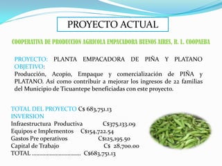 PROYECTO ACTUAL
COOPERATIVA DE PRODUCCION AGRICOLA EMPACADORA BUENOS AIRES, R. L. COOPAEBA

 PROYECTO: PLANTA EMPACADORA DE PIÑA Y PLATANO
 OBJETIVO:
 Producción, Acopio, Empaque y comercialización de PIÑA y
 PLATANO. Así como contribuir a mejorar los ingresos de 22 familias
 del Municipio de Ticuantepe beneficiadas con este proyecto.


TOTAL DEL PROYECTO C$ 683,751.13
INVERSION
Infraestructura Productiva    C$375,133.09
Equipos e Implementos C$154,722.54
Gastos Pre operativos       C$125,195.50
Capital de Trabajo            C$ 28,700.00
TOTAL …………………………… C$683,751.13
 
