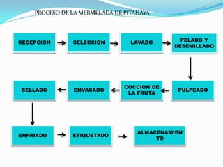 PROCESO DE LA MERMELADA DE PITAHAYA




RECEPCION      SELECCION         LAVADO       PELADO Y
                                            DESEMILLADO




                               COCCION DE
SELLADO        ENVASADO                      PULPEADO
                                LA FRUTA




                                   ALMACENAMIEN
ENFRIADO       ETIQUETADO
                                        TO
 