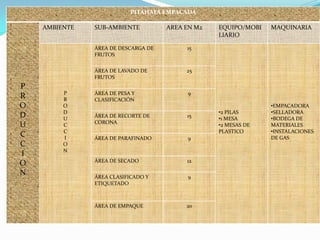 PITAHAYA EMPACADA

    AMBIENTE   SUB-AMBIENTE          AREA EN M2   EQUIPO/MOBI   MAQUINARIA
                                                  LIARIO

               ÁREA DE DESCARGA DE        15
               FRUTOS


               ÁREA DE LAVADO DE          25
               FRUTOS
P
         P     ÁREA DE PESA Y             9
R        R     CLASIFICACIÓN
O        O                                                      •EMPACADORA
         D                                        •2 PILAS      •SELLADORA
D        U
               ÁREA DE RECORTE DE         15
                                                  •1 MESA       •BODEGA DE
               CORONA
U        C                                        •2 MESAS DE   MATERIALES
         C                                        PLASTICO      •INSTALACIONES
C        I     ÁREA DE PARAFINADO         9                     DE GAS
C        O
         N
I
               ÁREA DE SECADO             12
O
N              ÁREA CLASIFICADO Y         9
               ETIQUETADO



               ÁREA DE EMPAQUE            20
 