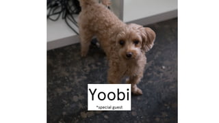 Yoobi
*special guest

 