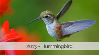 @paddymoogan 
2013 - Hummingbird 
 