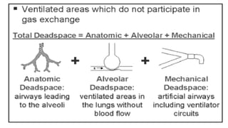 Pulmonary ventilation 2020