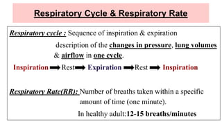 Respiratory Cycle & Respiratory Rate
Respiratory cycle : Sequence of inspiration & expiration
description of the changes in pressure, lung volumes
& airflow in one cycle.
Inspiration Rest Expiration Rest Inspiration
Respiratory Rate(RR): Number of breaths taken within a specific
amount of time (one minute).
In healthy adult:12-15 breaths/minutes
 