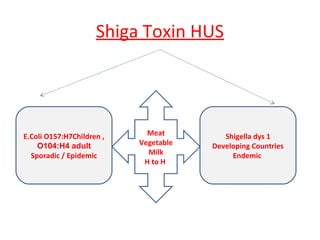 Shiga Toxin HUS
E.Coli O157:H7Children ,
O104:H4 adult
Sporadic / Epidemic
Shigella dys 1
Developing Countries
Endemic
Meat
Vegetable
Milk
H to H
 