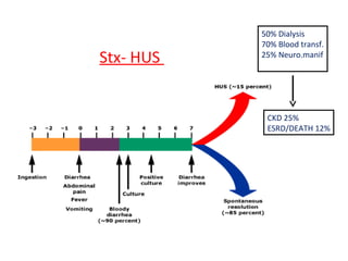 50% Dialysis
70% Blood transf.
25% Neuro.manif
CKD 25%
ESRD/DEATH 12%
Stx- HUS
 