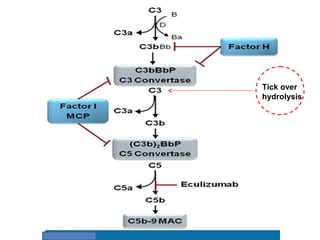 Tick over
hydrolysis
 