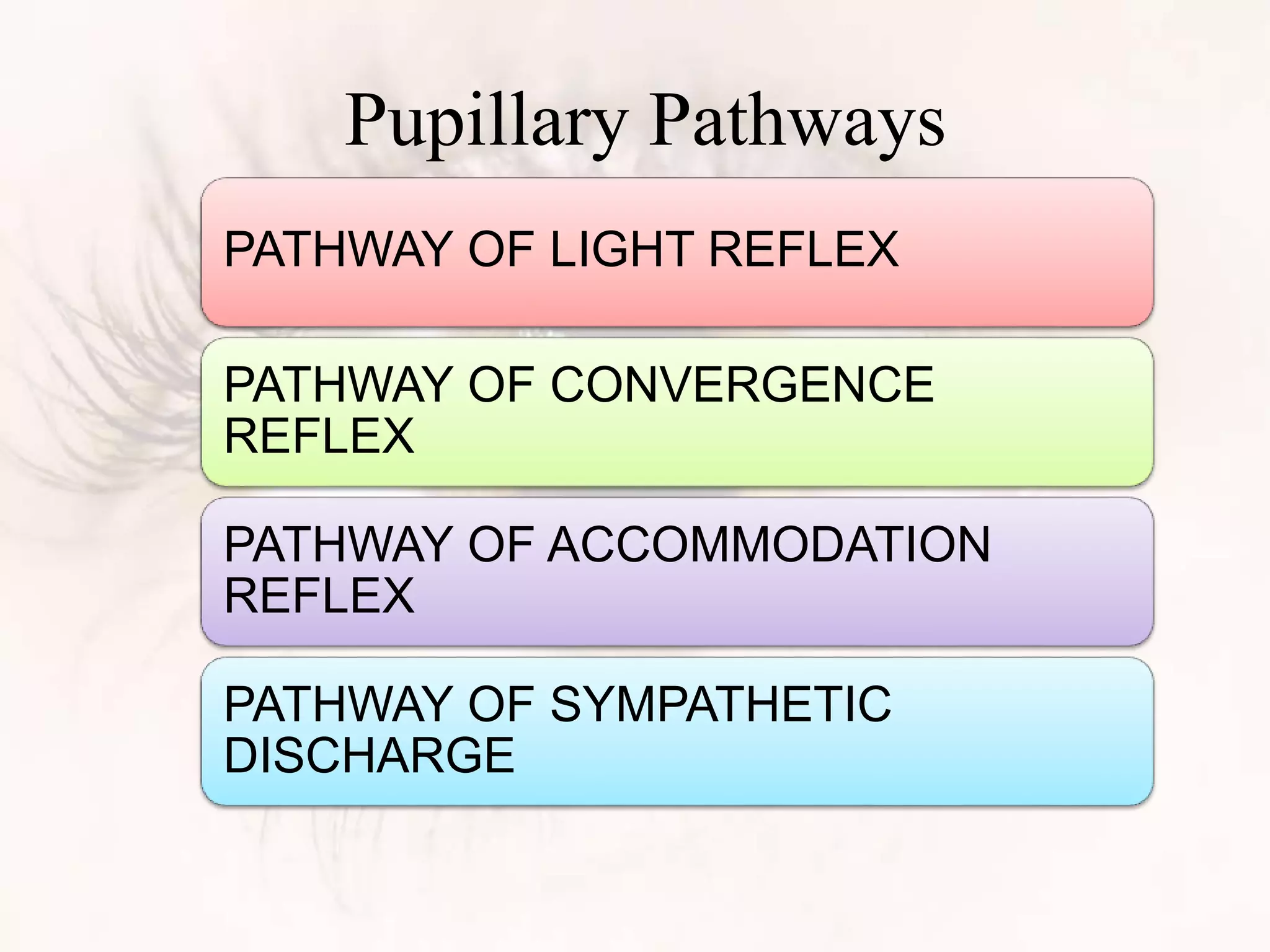 Pupillary Pathways
PATHWAY OF LIGHT REFLEX
PATHWAY OF CONVERGENCE
REFLEX
PATHWAY OF ACCOMMODATION
REFLEX
PATHWAY OF SYMPATHETIC
DISCHARGE
 