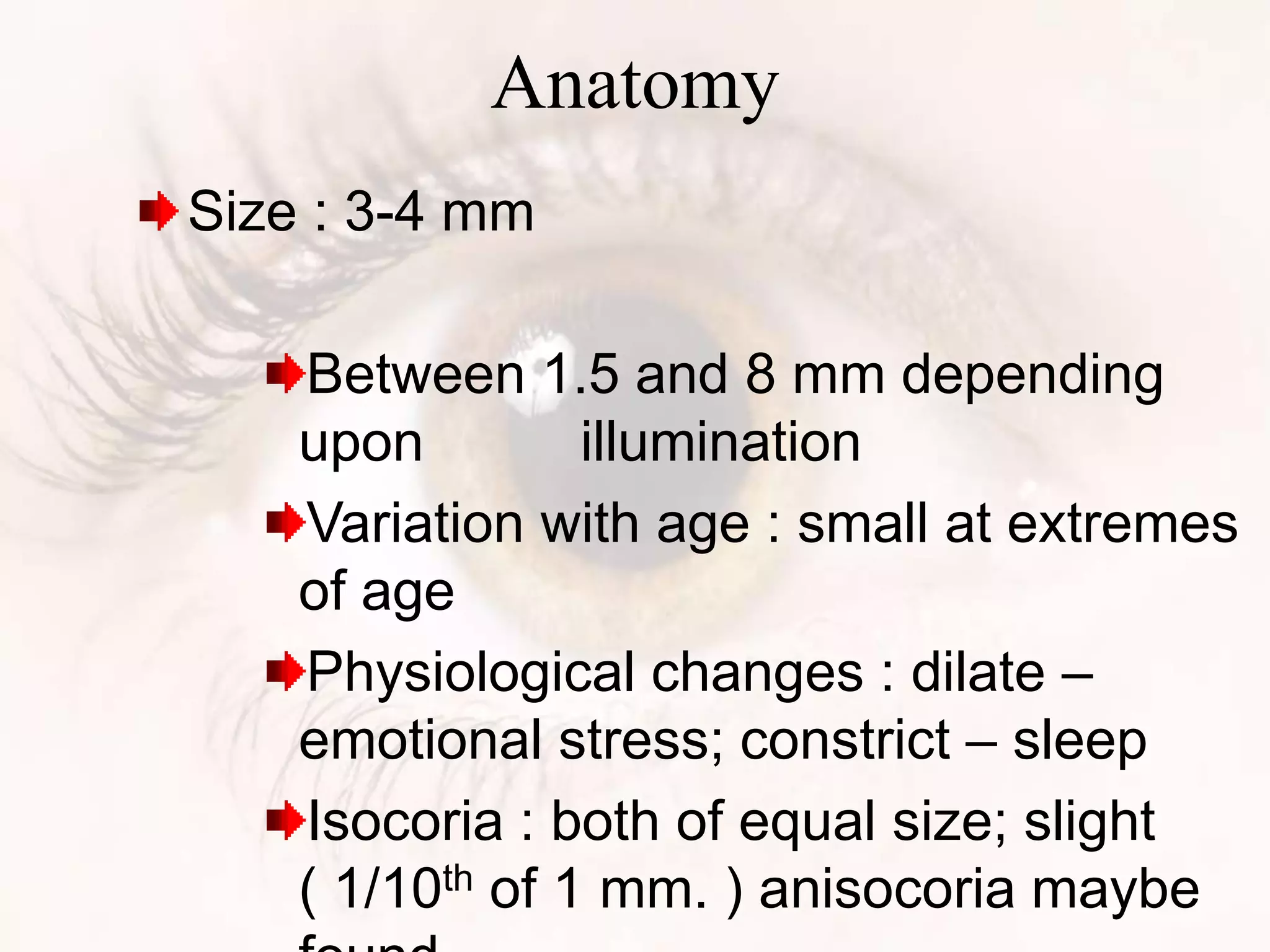 Size : 3-4 mm
Between 1.5 and 8 mm depending
upon illumination
Variation with age : small at extremes
of age
Physiological changes : dilate –
emotional stress; constrict – sleep
Isocoria : both of equal size; slight
( 1/10th of 1 mm. ) anisocoria maybe
Anatomy
 