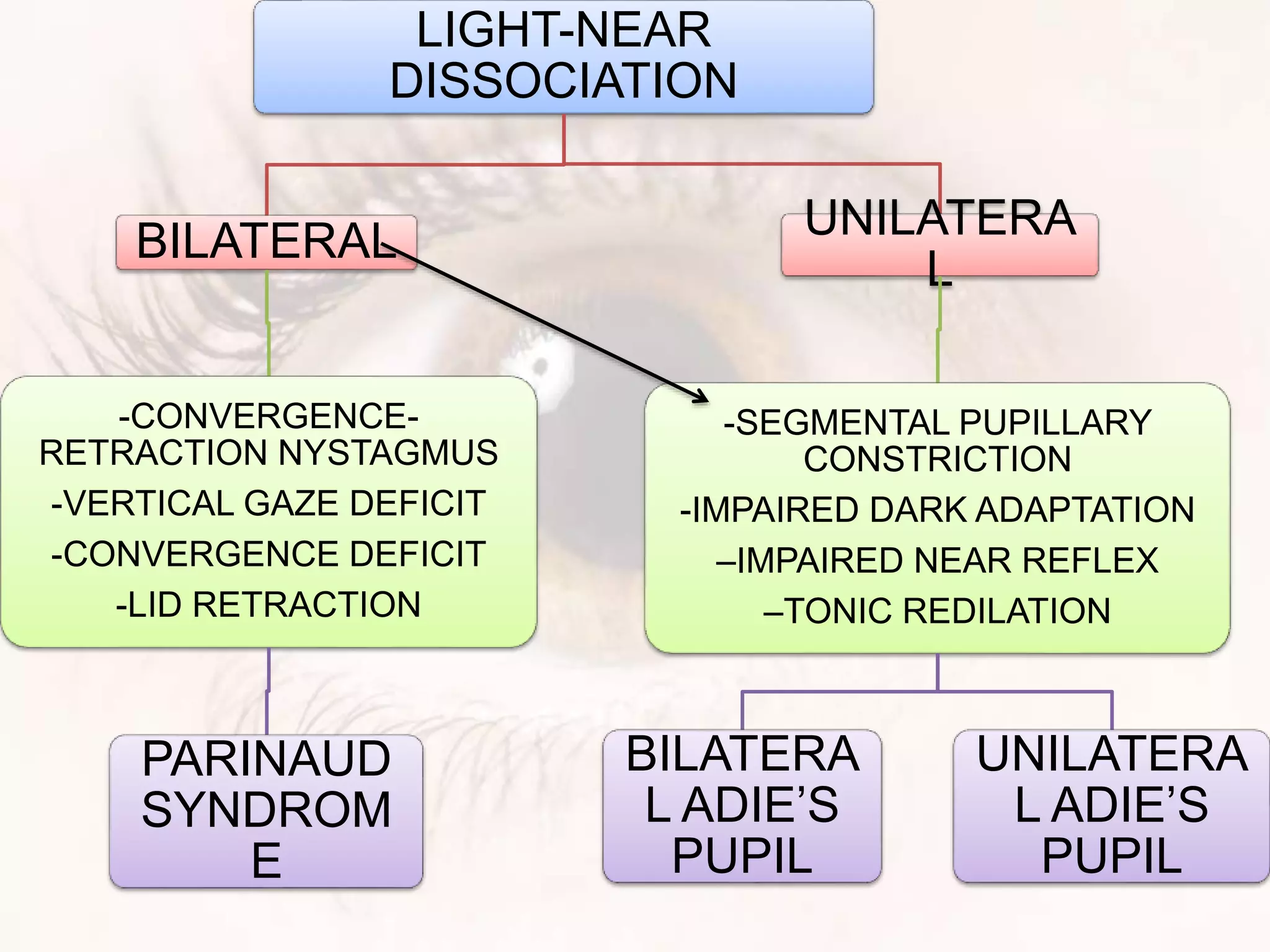 LIGHT-NEAR
DISSOCIATION
BILATERAL
-CONVERGENCE-
RETRACTION NYSTAGMUS
-VERTICAL GAZE DEFICIT
-CONVERGENCE DEFICIT
-LID RETRACTION
PARINAUD
SYNDROM
E
UNILATERA
L
-SEGMENTAL PUPILLARY
CONSTRICTION
-IMPAIRED DARK ADAPTATION
–IMPAIRED NEAR REFLEX
–TONIC REDILATION
BILATERA
L ADIE’S
PUPIL
UNILATERA
L ADIE’S
PUPIL
 
