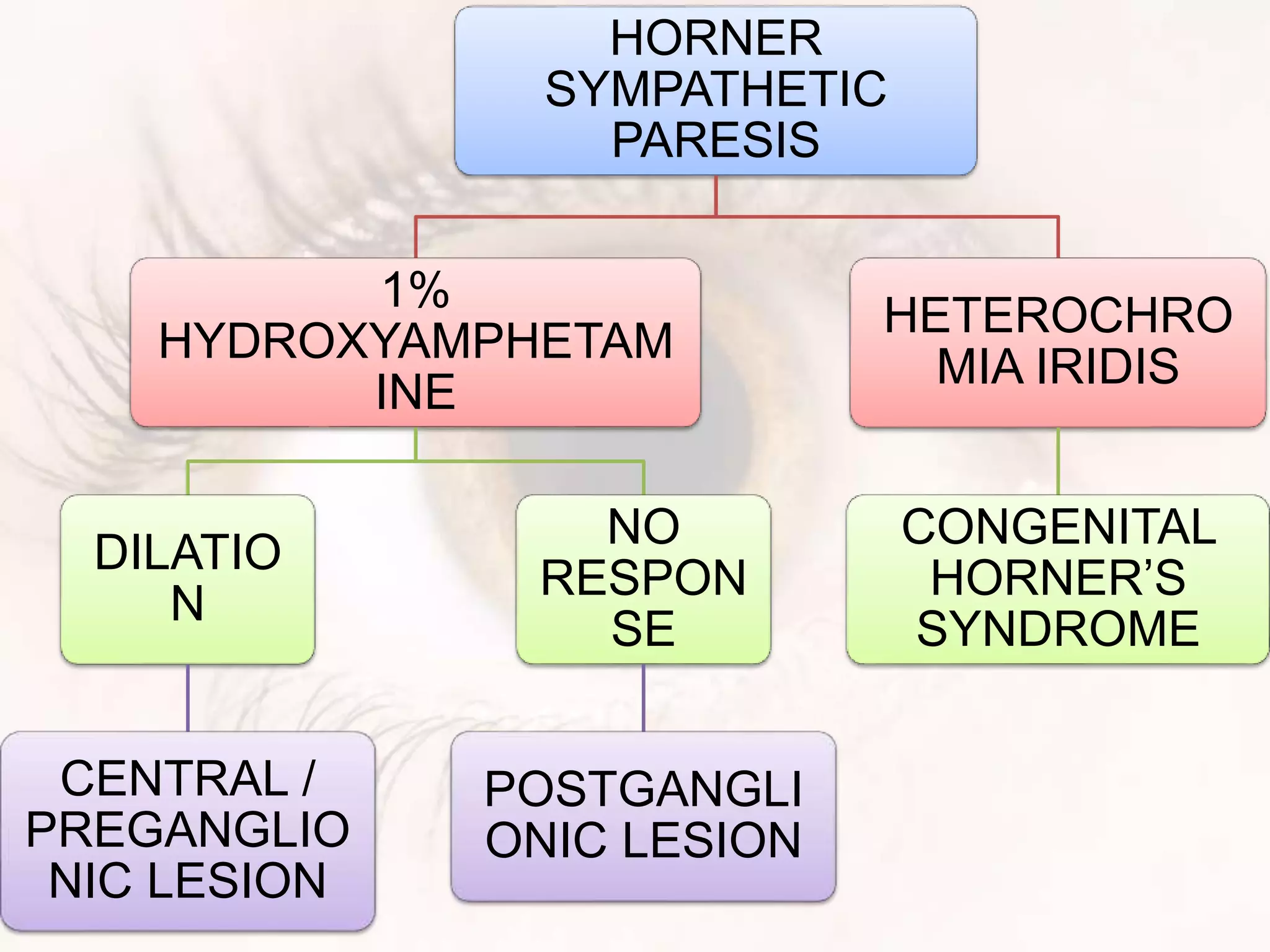 HORNER
SYMPATHETIC
PARESIS
1%
HYDROXYAMPHETAM
INE
DILATIO
N
CENTRAL /
PREGANGLIO
NIC LESION
NO
RESPON
SE
POSTGANGLI
ONIC LESION
HETEROCHRO
MIA IRIDIS
CONGENITAL
HORNER’S
SYNDROME
 