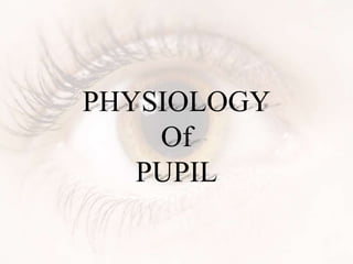 PHYSIOLOGY
Of
PUPIL
 