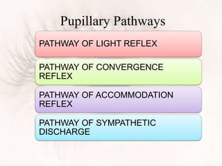 Pupillary Pathways
PATHWAY OF LIGHT REFLEX
PATHWAY OF CONVERGENCE
REFLEX
PATHWAY OF ACCOMMODATION
REFLEX
PATHWAY OF SYMPATHETIC
DISCHARGE
 