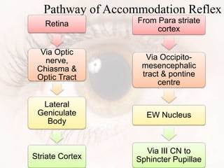 Pathway of Accommodation Reflex
Retina
Via Optic
nerve,
Chiasma &
Optic Tract
Lateral
Geniculate
Body
Striate Cortex
From Para striate
cortex
Via Occipito-
mesencephalic
tract & pontine
centre
EW Nucleus
Via III CN to
Sphincter Pupillae
 