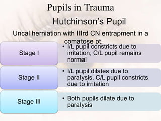 Pupils in Trauma
Uncal herniation with IIIrd CN entrapment in a
comatose pt.
Hutchinson’s Pupil
• I/L pupil constricts due to
irritation, C/L pupil remains
normal
Stage I
• I/L pupil dilates due to
paralysis, C/L pupil constricts
due to irritation
Stage II
• Both pupils dilate due to
paralysis
Stage III
 