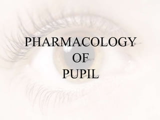 PHARMACOLOGY
OF
PUPIL
 