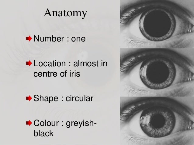 pupillary constriction