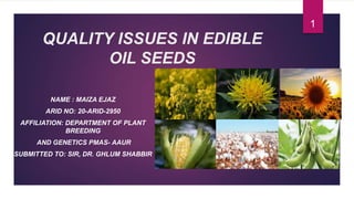 QUALITY ISSUES IN EDIBLE
OIL SEEDS
NAME : MAIZA EJAZ
ARID NO: 20-ARID-2950
AFFILIATION: DEPARTMENT OF PLANT
BREEDING
AND GENETICS PMAS- AAUR
SUBMITTED TO: SIR, DR. GHLUM SHABBIR
1
 