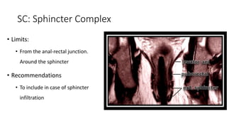 Radiotherapy in carcinoma rectum | PPTX