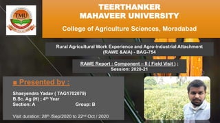 ■ Presented by :
Shasyendra Yadav ( TAG1702079)
B.Sc. Ag (H) ; 4th Year
Section: A Group: B
Visit duration: 28th /Sep/2020 to 22nd Oct / 2020
TEERTHANKER
MAHAVEER UNIVERSITY
College of Agriculture Sciences, Moradabad
Rural Agricultural Work Experience and Agro-industrial Attachment
(RAWE &AIA) - BAG-754
RAWE Report : Component – II ( Field Visit ) ;
Session: 2020-21
 