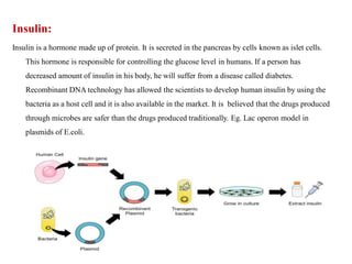 Insulin:
Insulin is a hormone made up of protein. It is secreted in the pancreas by cells known as islet cells.
This hormone is responsible for controlling the glucose level in humans. If a person has
decreased amount of insulin in his body, he will suffer from a disease called diabetes.
Recombinant DNA technology has allowed the scientists to develop human insulin by using the
bacteria as a host cell and it is also available in the market. It is believed that the drugs produced
through microbes are safer than the drugs produced traditionally. Eg. Lac operon model in
plasmids of E.coli.
 