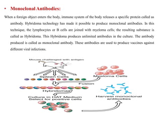 • Monoclonal Antibodies:
When a foreign object enters the body, immune system of the body releases a specific protein called as
antibody. Hybridoma technology has made it possible to produce monoclonal antibodies. In this
technique, the lymphocytes or B cells are joined with myeloma cells; the resulting substance is
called as Hybridoma. This Hybridoma produces unlimited antibodies in the culture. The antibody
produced is called as monoclonal antibody. These antibodies are used to produce vaccines against
different viral infections.
 