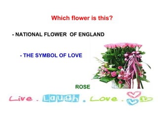 Which flower is this?

- NATIONAL FLOWER OF ENGLAND



  - THE SYMBOL OF LOVE




                    ROSE
 