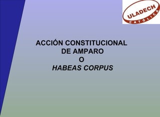 ACCIÓN CONSTITUCIONAL
DE AMPARO
O
HABEAS CORPUS
 