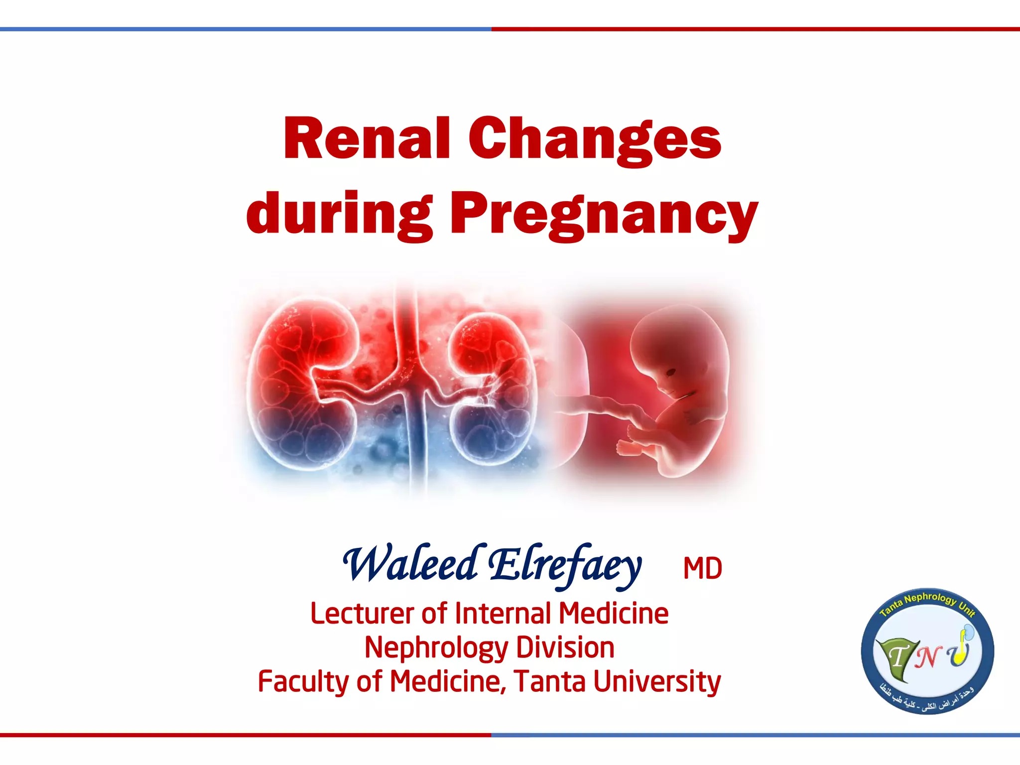 Renal Changes during Pregnancy | PDF