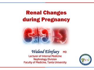 Renal Changes
during Pregnancy
Waleed Elrefaey MD
Lecturer of Internal Medicine
Nephrology Division
Faculty of Medicine, Tanta University
 