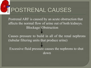 Postrenal ARF is caused by an acute obstruction that
affects the normal flow of urine out of both kidneys.
Blockage/ Obstruction
Causes pressure to build in all of the renal nephrons
(tubular filtering units that produce urine)
Excessive fluid pressure causes the nephrons to shut
down
 