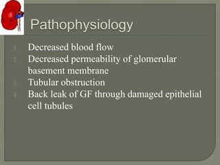 1. Decreased blood flow
2. Decreased permeability of glomerular
basement membrane
3. Tubular obstruction
4. Back leak of GF through damaged epithelial
cell tubules
 