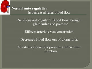 Normal auto regulation
In decreased renal blood flow
Nephrons autoregulates Blood flow through
glomerulus and pressure
Efferent arteriole vasoconstriction
Decreases blood flow out of glomerulus
Maintains glomerular pressure sufficient for
filtration
 