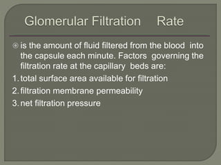  is the amount of fluid filtered from the blood into
the capsule each minute. Factors governing the
filtration rate at the capillary beds are:
1.total surface area available for filtration
2.filtration membrane permeability
3.net filtration pressure
 