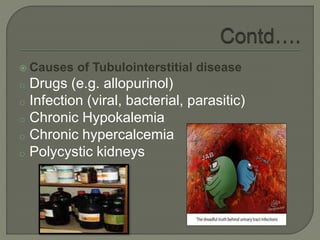  Causes of Tubulointerstitial disease
o Drugs (e.g. allopurinol)
o Infection (viral, bacterial, parasitic)
o Chronic Hypokalemia
o Chronic hypercalcemia
o Polycystic kidneys
 