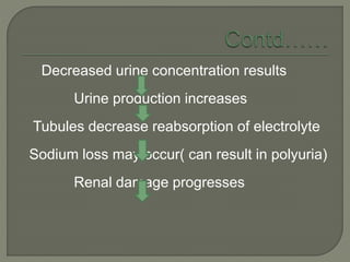 Decreased urine concentration results
Urine production increases
Tubules decrease reabsorption of electrolyte
Sodium loss may occur( can result in polyuria)
Renal damage progresses
 