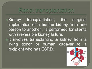 Kidney transplantation, the surgical
implantation of a human kidney from one
person to another , is performed for clients
with irreversible kidney failure.
It involves transplanting a kidney from a
living donor or human cadaver to a
recipient who has ESRD.
 