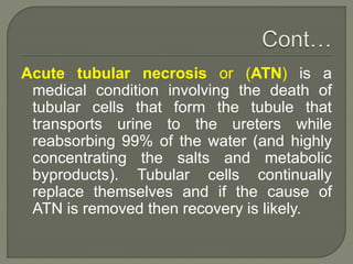 Acute tubular necrosis or (ATN) is a
medical condition involving the death of
tubular cells that form the tubule that
transports urine to the ureters while
reabsorbing 99% of the water (and highly
concentrating the salts and metabolic
byproducts). Tubular cells continually
replace themselves and if the cause of
ATN is removed then recovery is likely.
 