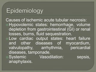 Causes of ischemic acute tubular necrosis:
Hypovolemic states: hemorrhage, volume
depletion from gastrointestinal (GI) or renal
losses, burns, fluid sequestration.
Low cardiac output states: heart failure
and other diseases of myocardium,
valvulopathy, arrhythmia, pericardial
diseases, tamponade.
Systemic Vasodilation: sepsis,
anaphylaxis.
 