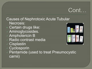 Causes of Nephrotoxic Acute Tubular
Necrosis:
 Certain drugs like:
 Aminoglycosides.
 Amphotericin B
 Radio contrast media
 Cisplastin
 Cyclosporin
 Pentamide (used to treat Pneumocystic
carnii)
 