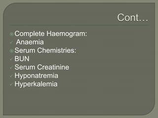 Complete Haemogram:
 Anaemia
Serum Chemistries:
 BUN
 Serum Creatinine
 Hyponatremia
 Hyperkalemia
 