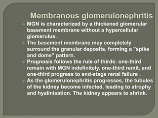  MGN is characterized by a thickened glomerular
basement membrane without a hypercellular
glomerulus.
 The basement membrane may completely
surround the granular deposits, forming a "spike
and dome" pattern.
 Prognosis follows the rule of thirds: one-third
remain with MGN indefinitely, one-third remit, and
one-third progress to end-stage renal failure .
 As the glomerulonephritis progresses, the tubules
of the kidney become infected, leading to atrophy
and hyalinisation. The kidney appears to shrink.
 