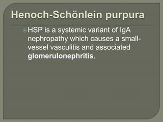 HSP is a systemic variant of IgA
nephropathy which causes a small-
vessel vasculitis and associated
glomerulonephritis.
 