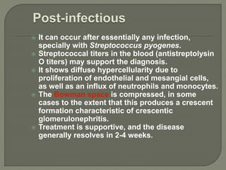  It can occur after essentially any infection,
specially with Streptococcus pyogenes.
 Streptococcal titers in the blood (antistreptolysin
O titers) may support the diagnosis.
 It shows diffuse hypercellularity due to
proliferation of endothelial and mesangial cells,
as well as an influx of neutrophils and monocytes.
 The Bowman space is compressed, in some
cases to the extent that this produces a crescent
formation characteristic of crescentic
glomerulonephritis.
 Treatment is supportive, and the disease
generally resolves in 2-4 weeks.
 