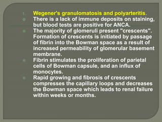 1. Wegener's granulomatosis and polyarteritis.
 There is a lack of immune deposits on staining,
but blood tests are positive for ANCA.
 The majority of glomeruli present "crescents".
Formation of crescents is initiated by passage
of fibrin into the Bowman space as a result of
increased permeability of glomerular basement
membrane.
 Fibrin stimulates the proliferation of parietal
cells of Bowman capsule, and an influx of
monocytes.
 Rapid growing and fibrosis of crescents
compresses the capillary loops and decreases
the Bowman space which leads to renal failure
within weeks or months.
 