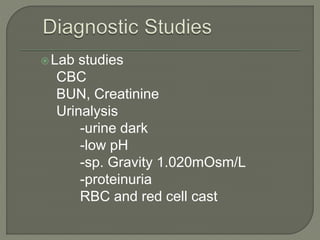 Lab studies
CBC
BUN, Creatinine
Urinalysis
-urine dark
-low pH
-sp. Gravity 1.020mOsm/L
-proteinuria
RBC and red cell cast
 