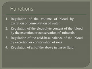 1. Regulation of the volume of blood by
excretion or conservation of water.
2. Regulation of the electrolyte content of the blood
by the excretion or conservation of minerals.
3. Regulation of the acid-base balance of the blood
by excretion or conservation of ions
4. Regulation of all of the above in tissue fluid.
 