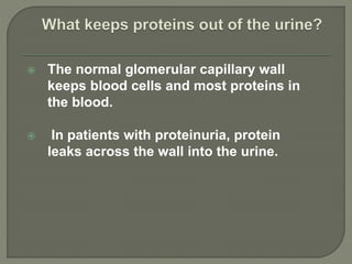  The normal glomerular capillary wall
keeps blood cells and most proteins in
the blood.
 In patients with proteinuria, protein
leaks across the wall into the urine.
 