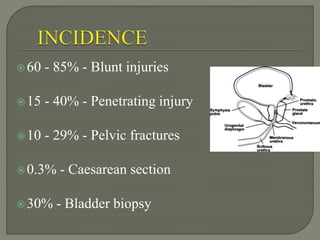 60 - 85% - Blunt injuries
15 - 40% - Penetrating injury
10 - 29% - Pelvic fractures
0.3% - Caesarean section
30% - Bladder biopsy
 